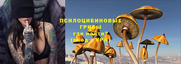 эйфоретик Баксан