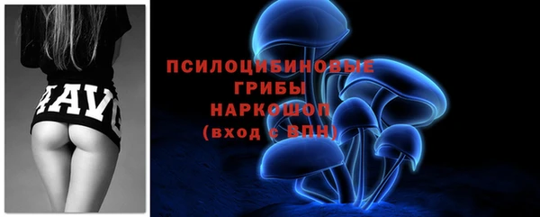 эйфоретик Баксан