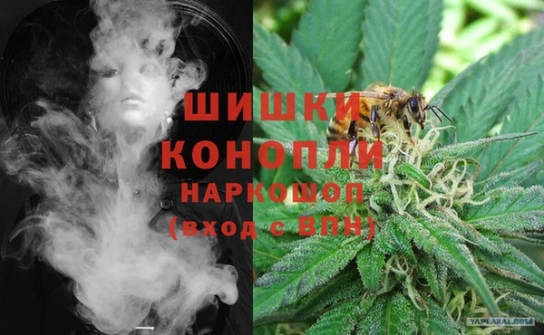 гидра Сосновый Бор