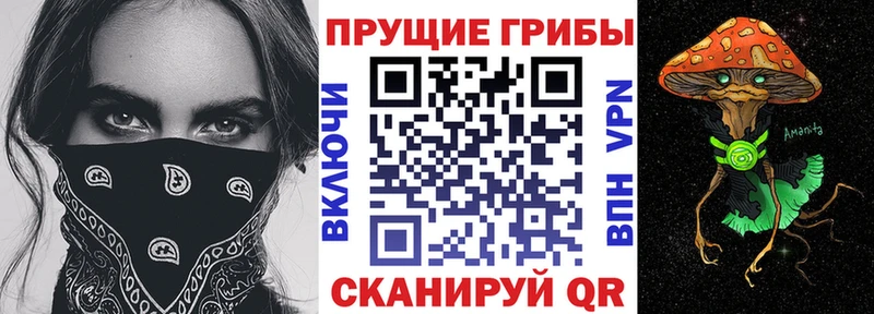 Галлюциногенные грибы прущие грибы  наркотики  Олёкминск 